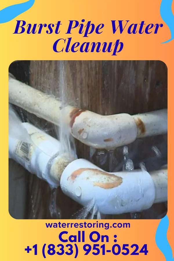 Burst Pipe Water Cleanup in South Wilton, CT