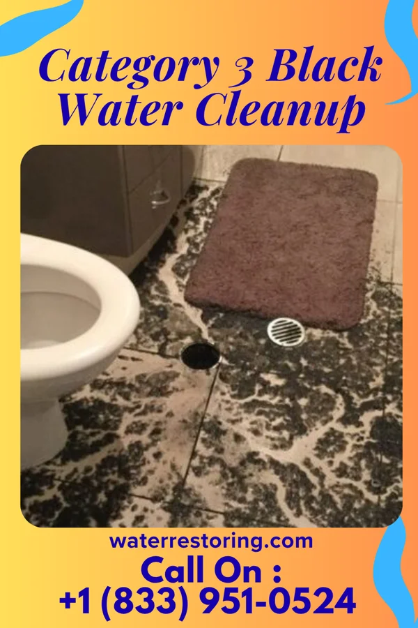 Category 3 Black Water Cleanup in South Wilton, CT
