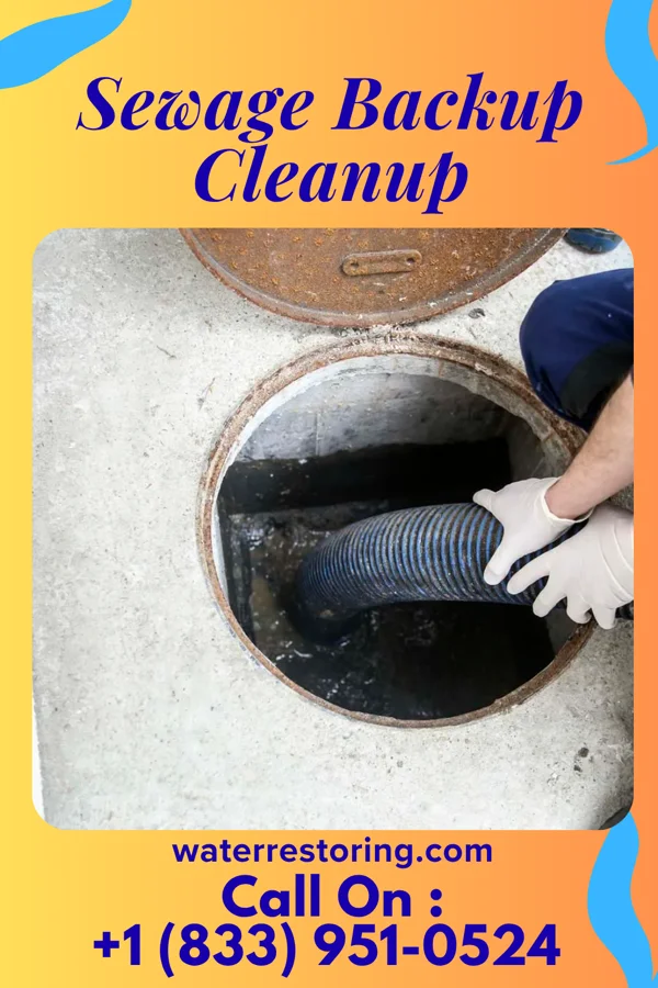 Sewage Backup Cleanup in South Wilton, CT
