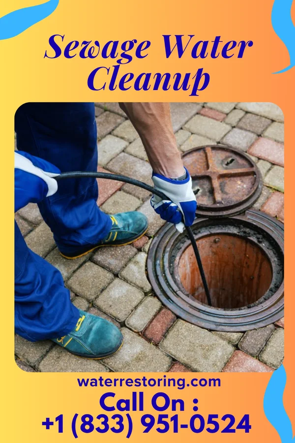 Sewage Water Cleanup in South Wilton, CT